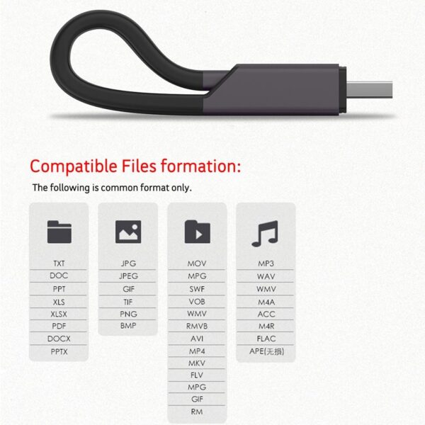 APPLE MICRO - SD (TF) CARD READER WITH CHARGE CABLE