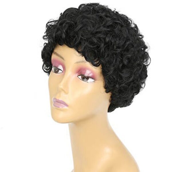 Synthetic Hair Curly Wigs for Black Women Wavy