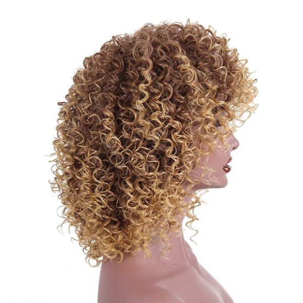 Afro Kinky Curly Wigs Blonde Mixed Brown Synthetic Wigs