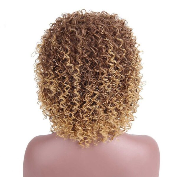 Afro Kinky Curly Wigs Blonde Mixed Brown Synthetic Wigs